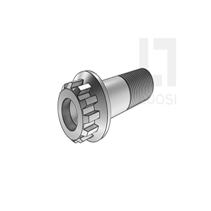 Фланецке арналған 12 тістердің болттары