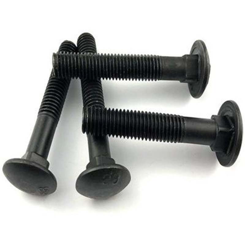 Қара шыныаяқ Head Squeer Mop Bolt
